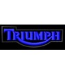 Embroidered patch TRIUMPH LOGO