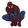 Embroidered patch Spiderman
