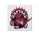 Iron patch Embroidered Patch NBA TORONTO RAPTORS