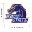 Iron patch BOISE STATE