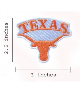 Iron patch BOISE STATE