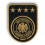 Embroidered Patch DFB Weltmeister