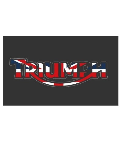 Iron patch TRIUMPH