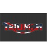 Iron patch TRIUMPH