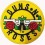 Iron patch Guns n Roses