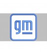 REMENDO BORDADO GM General Motors