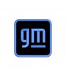 REMENDO BORDADO GM General Motors