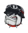 HARLEY DAVIDSON Iron patch