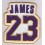 Embroidered Patch USA BASKET LeBron James