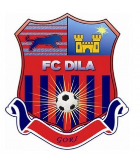 Parche bordado futbol FC DILA