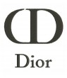 CHRISTIAN DIOR IRON PATCH