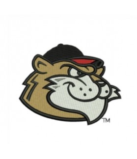 Tri City Valleycats Iron patch