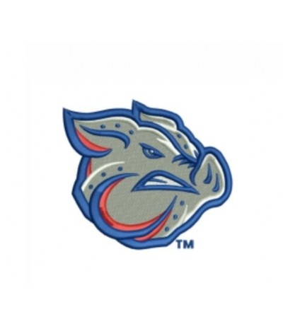 Lehigh Valley Ironpigs Parche bordado