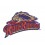 Scranton Wilkes Barre Railriders PATCH BRODE