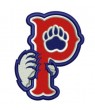 Pawtucket Red Sox Cap PATCH BRODE