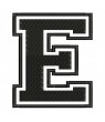 Embroidered Patch LETTER E
