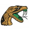 Florida AM Football Embroidered Patch