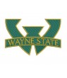 Wayne State Warriors Football IRON PATCH