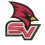 Saginaw Valley State Cardinals Football ZONA RICAMATA