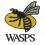 Wasps Rugby Football ZONA RICAMATA