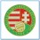 Hungary National Football PATCH BRODE