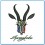 Springboks Rugby Football IRON PATCH