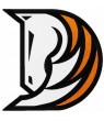 Denver Broncos Football Parche bordado