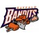 Buffalo Bandits HOCKEY Embroidered Patch