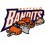 Buffalo Bandits HOCKEY Embroidered Patch