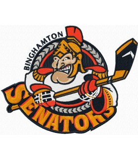 Binghamton Senators GESTICKER PATCH