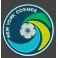 New York Cosmos Football PATCH BRODE
