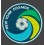New York Cosmos Football PATCH BRODE