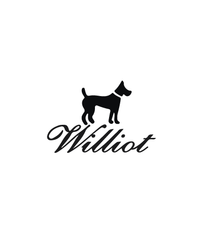 Iron patch WILLIOT